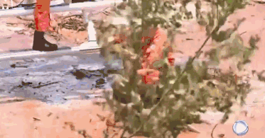 1593490452935184.gif 640 (1).gif